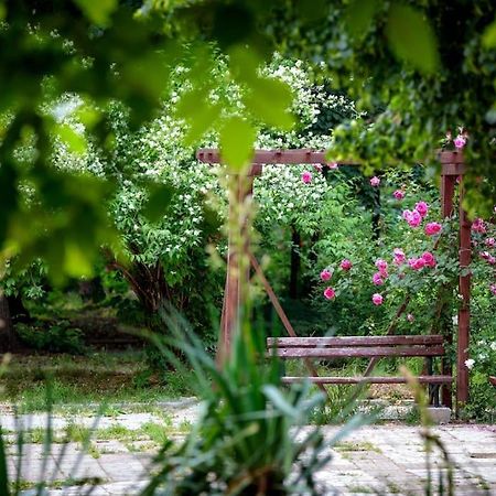 סופיה Green Apartment - Top Location, Near City Center! מראה חיצוני תמונה