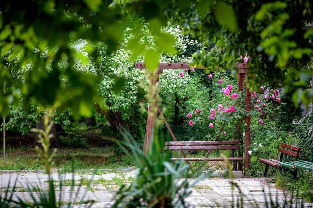 סופיה Green Apartment - Top Location, Near City Center! מראה חיצוני תמונה